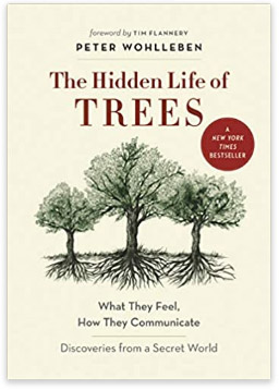 The Hidden Life of Trees