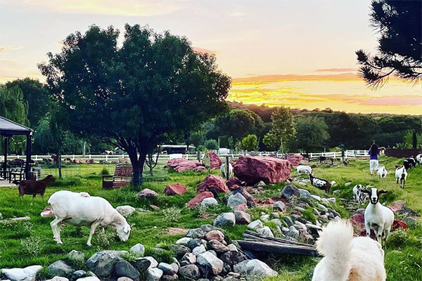 Selah Carefarm