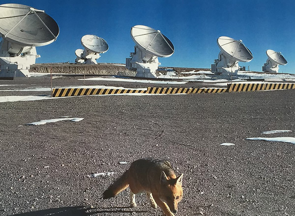 Atacama Observatory