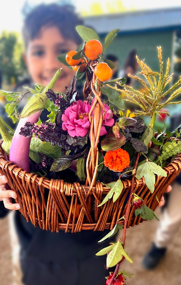 vegetable basket