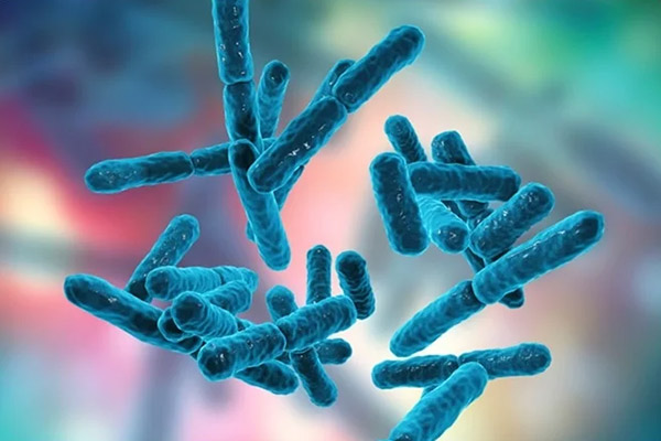 Probiotics