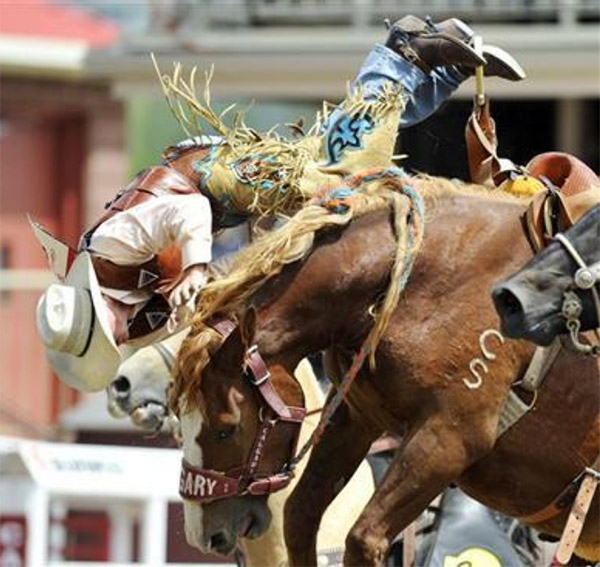 Rodeo