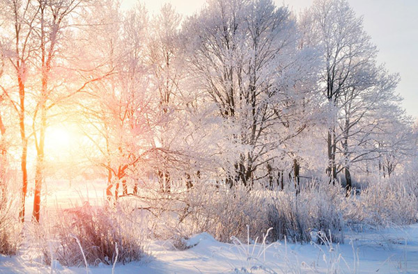 Winter Solstice