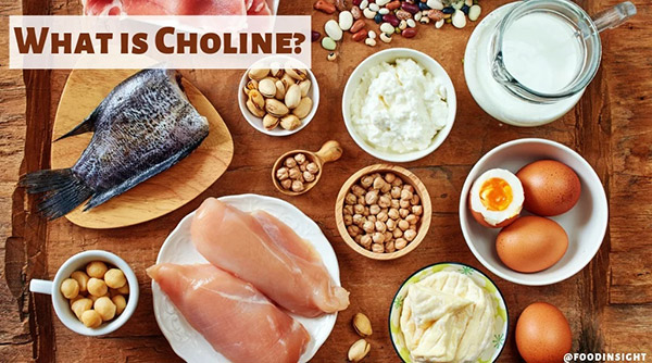 What is Choline