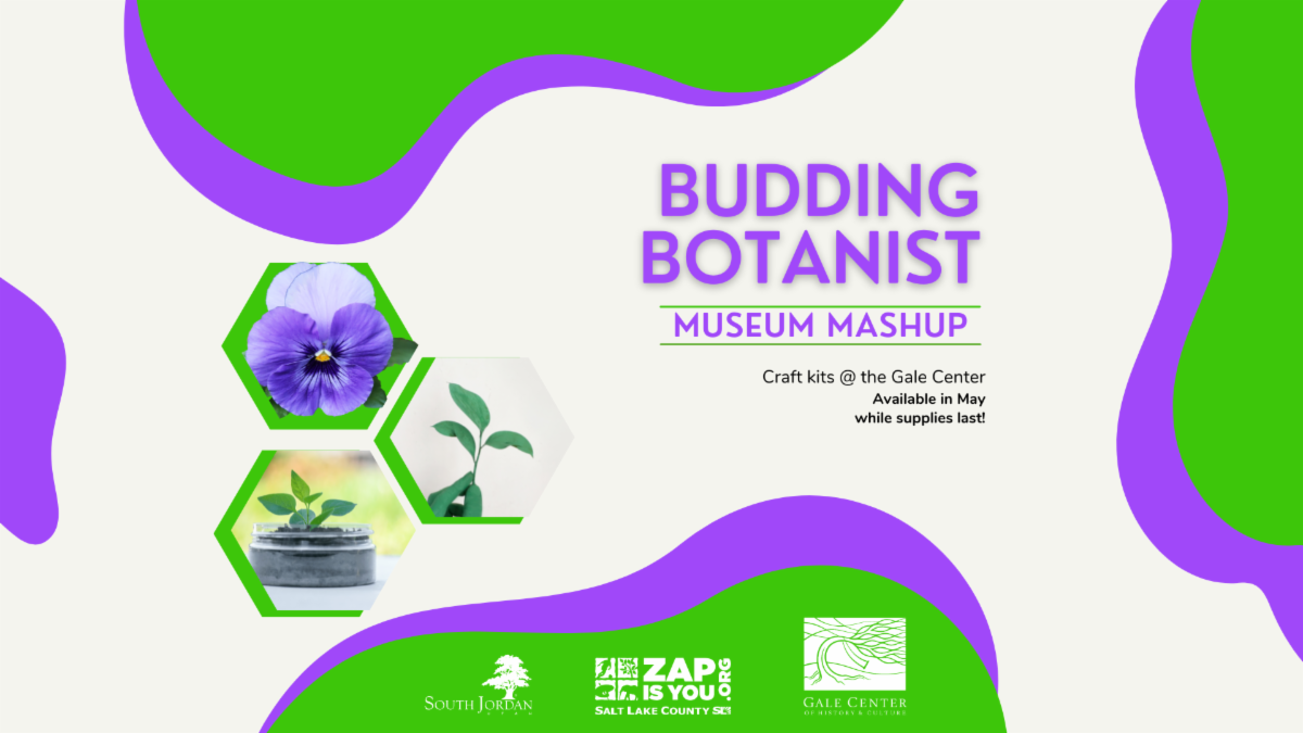 Museum Mashup Activity, Budding Botanist, Craft Kits at the Gale Center