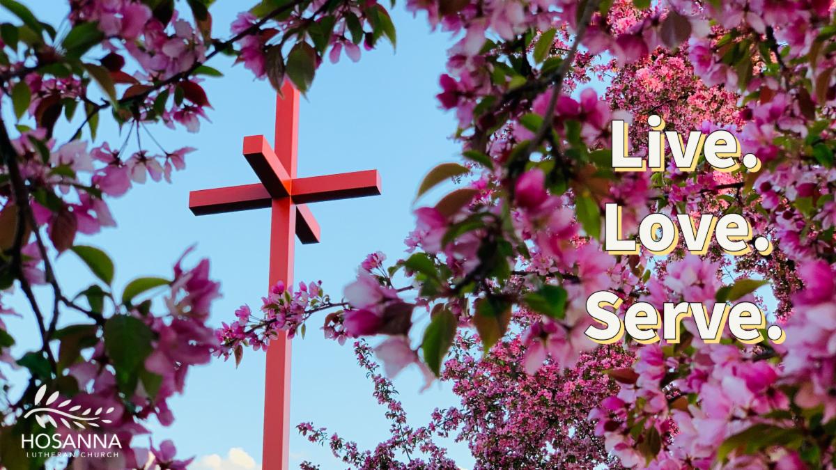 Live Love Serve - copy.jpg