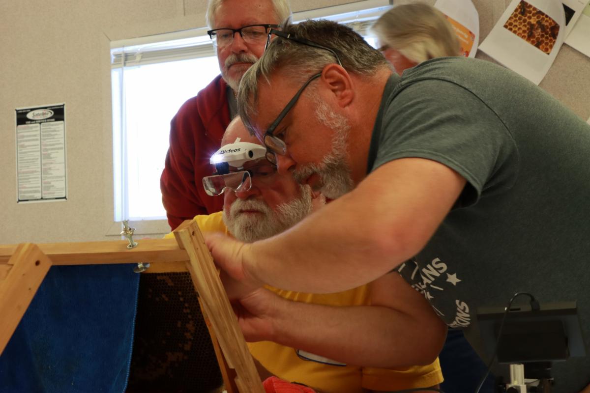 beekeeping workshop participants