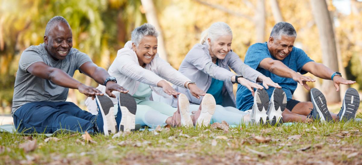 Four older adults wearing workout clothes sitting on the ground touching their toes.
