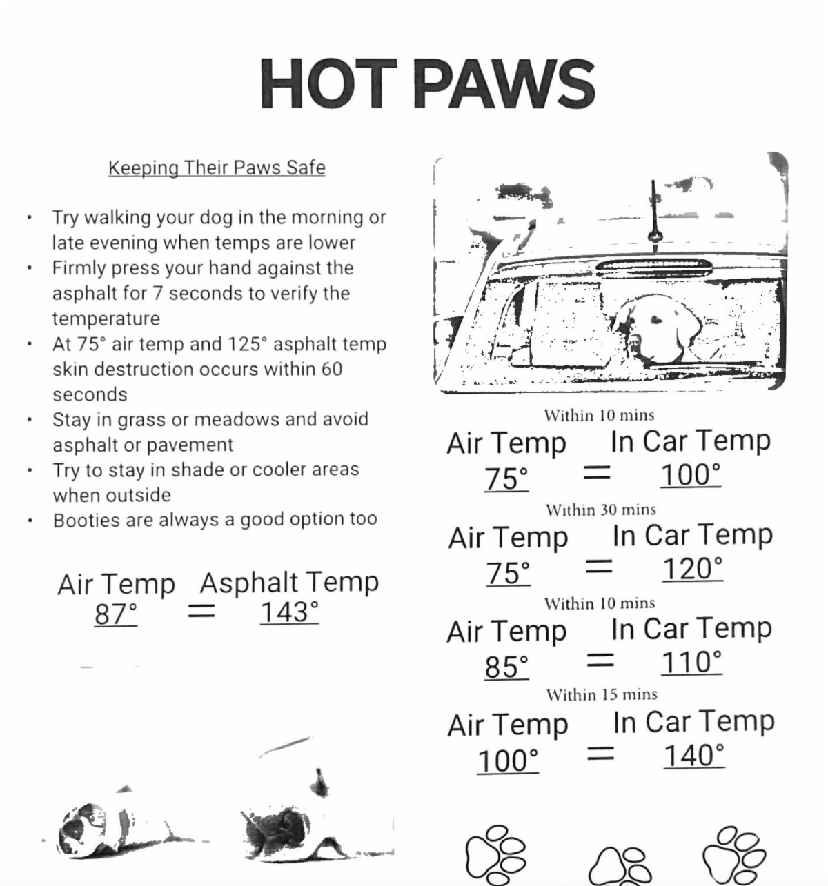 Hot Paws.png