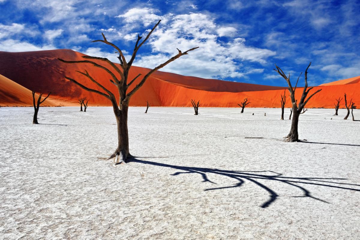 Deadvlei in Namib Desert