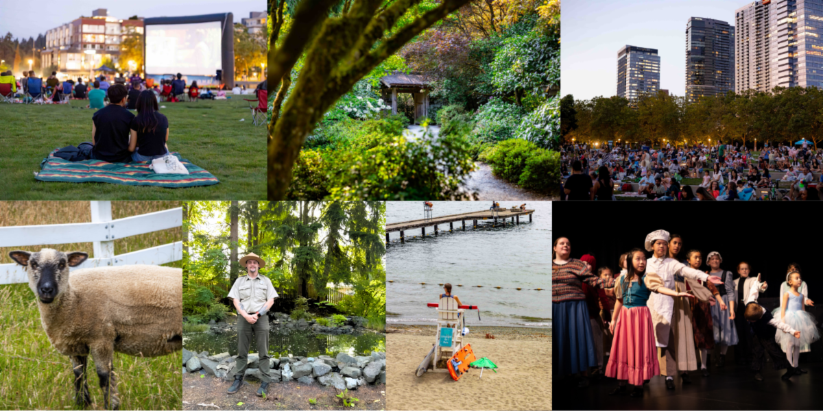 Collage of photos from Bellevue parks and events including Downtown Movies in the Park