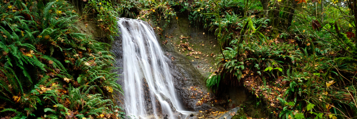 Coal Creek Natural Area waterfall with greenery