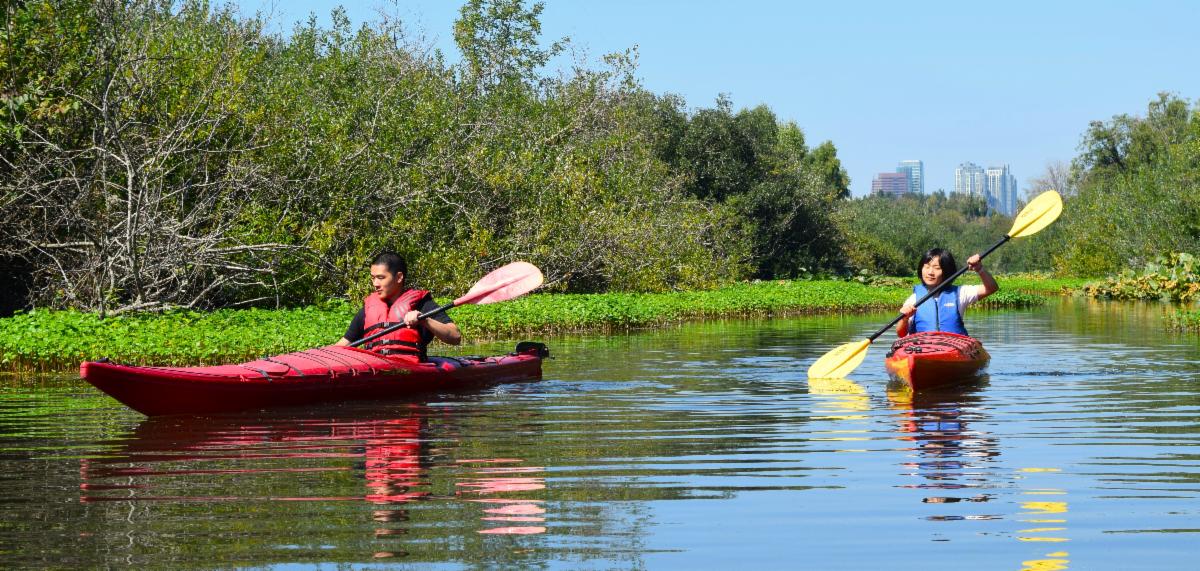 Two people kayaking in Mercer Slough during a sunny day