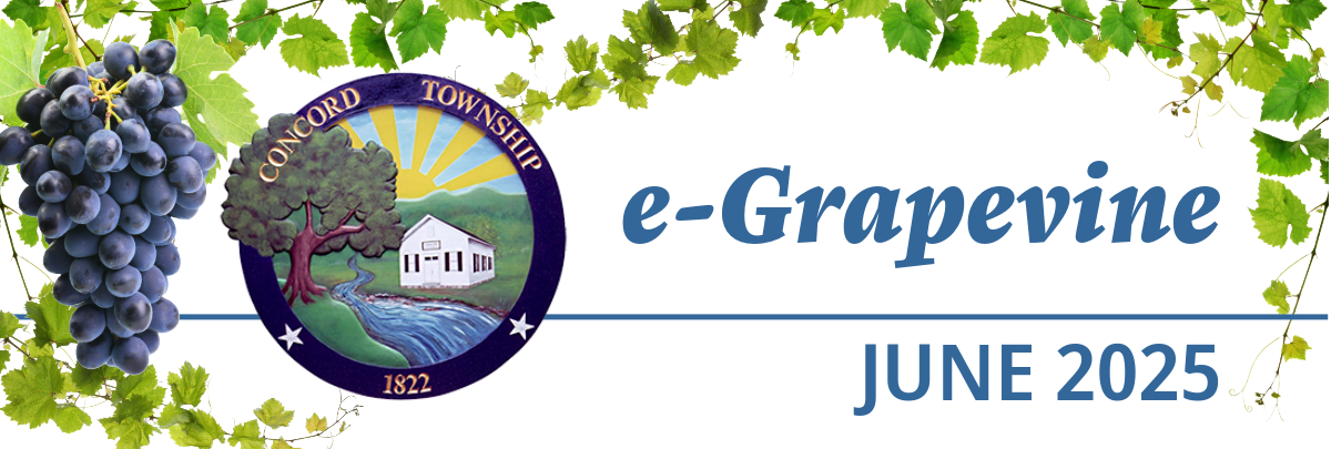 June 2025 e-Grapevine