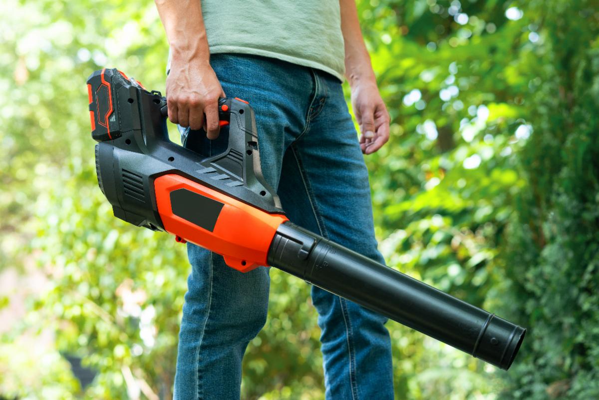Person holds electric leaf blower