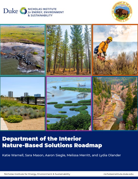Cover photo of the Nature-based Solutions Roadmap featuring various nature scenes.