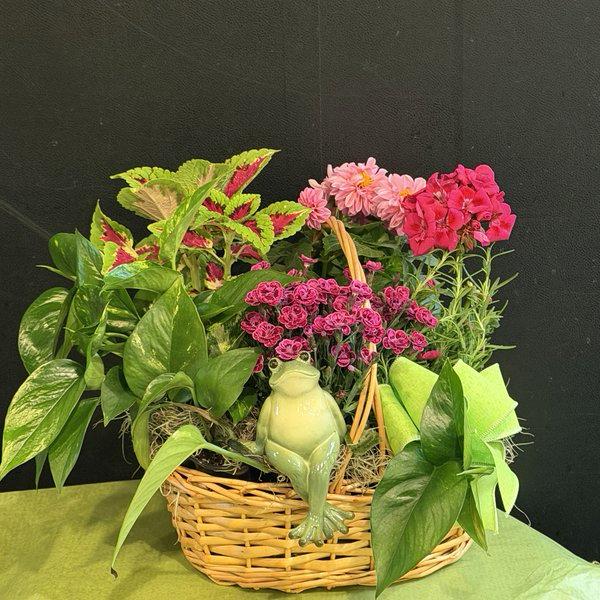 Mr. Toad's Secret Garden