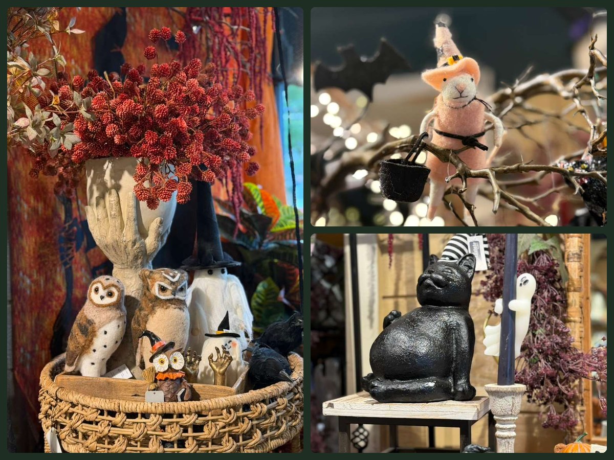 Halloween shop detail