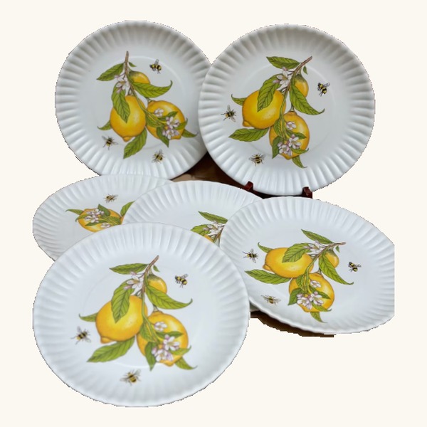 Lemon Melamine Plates Set of 6