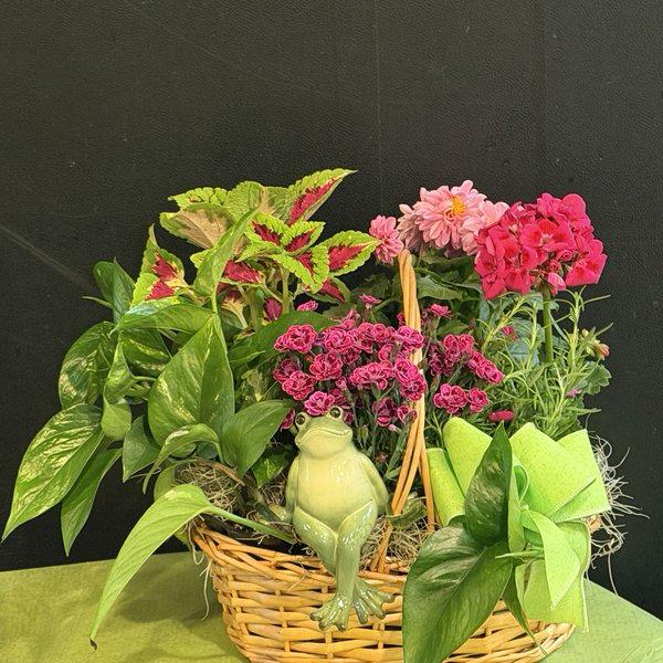 Mr. Toad's Secret Garden — full view of the garden basket arrangement