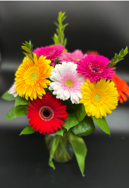 Crazy for Gerber Daisy