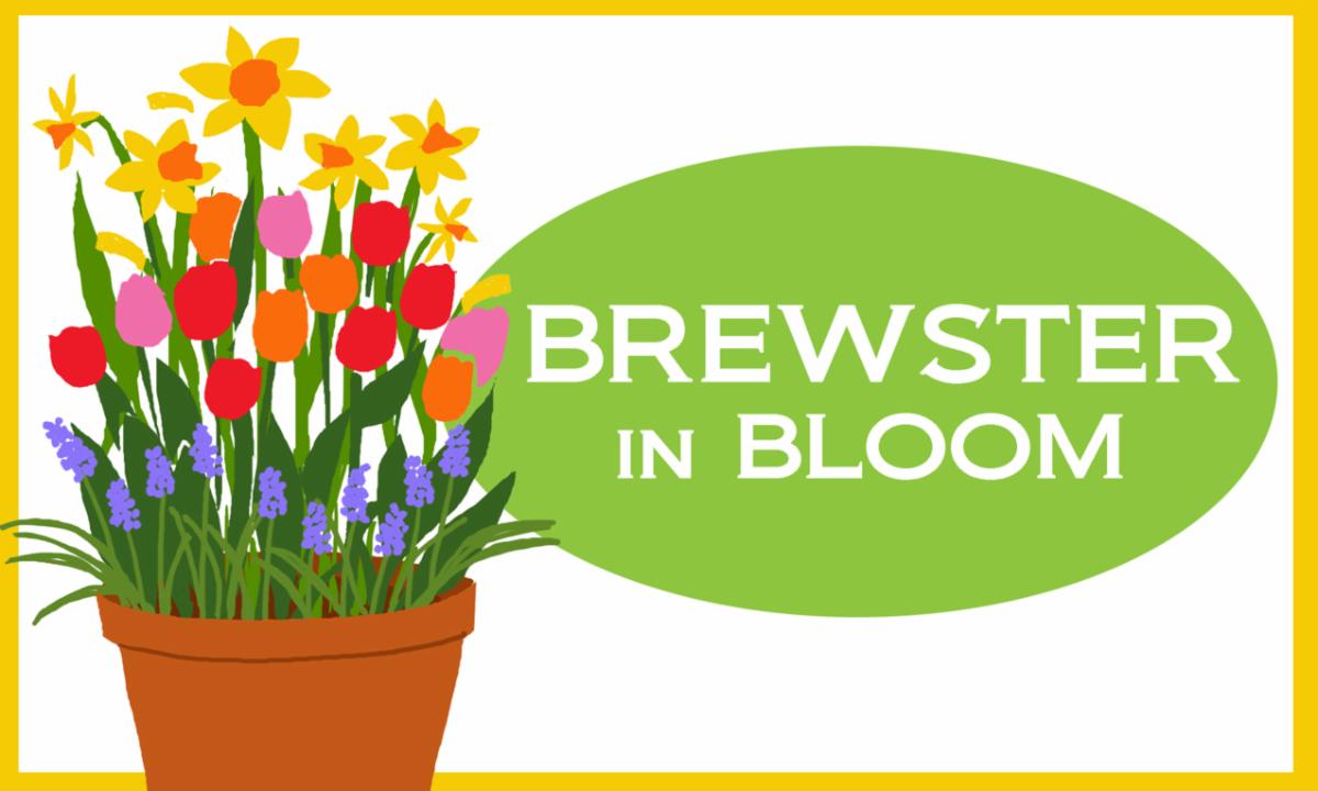 You're invited- 2027 Brewster in Bloom!