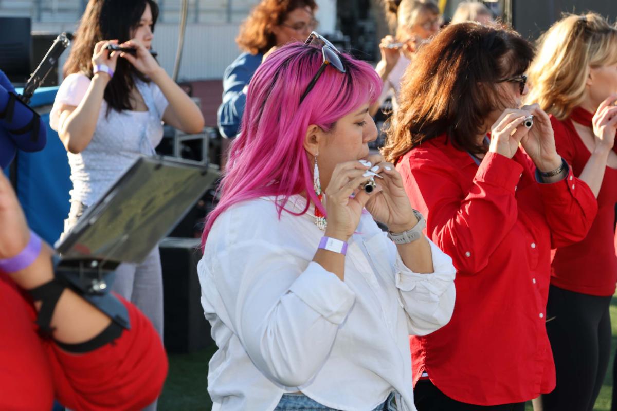 Concert memory photo