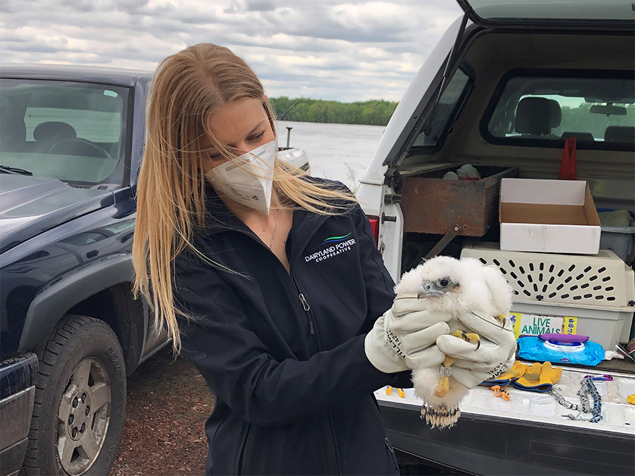 Current MattersNews from Dairyland Power Cooperative