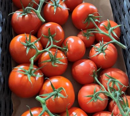 Image of crate of tomatoes