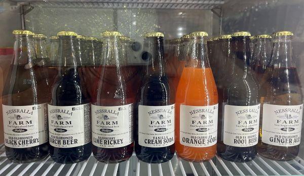 Picture of a row of sodas in glass bottle raspberry lime rickey old-fashioned ginger ale black cherry birch beer vanilla cream soda orange soda root beer