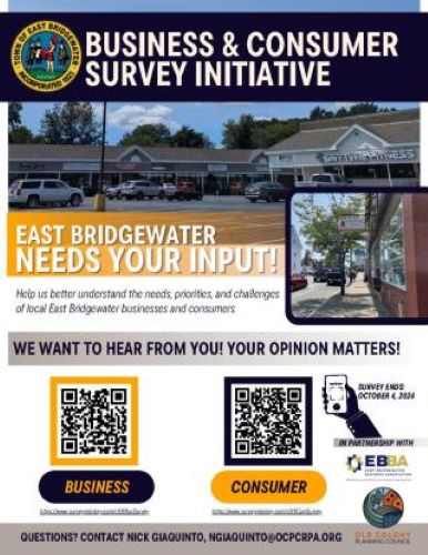 EB Economic Development Survey