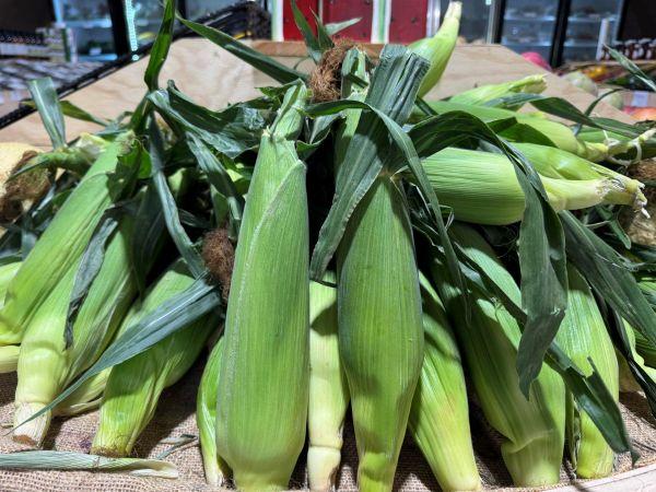 Picture of fresh corn