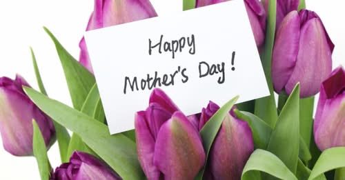 Happy Mothers Day written on a white card in a bouquet of purple tulips