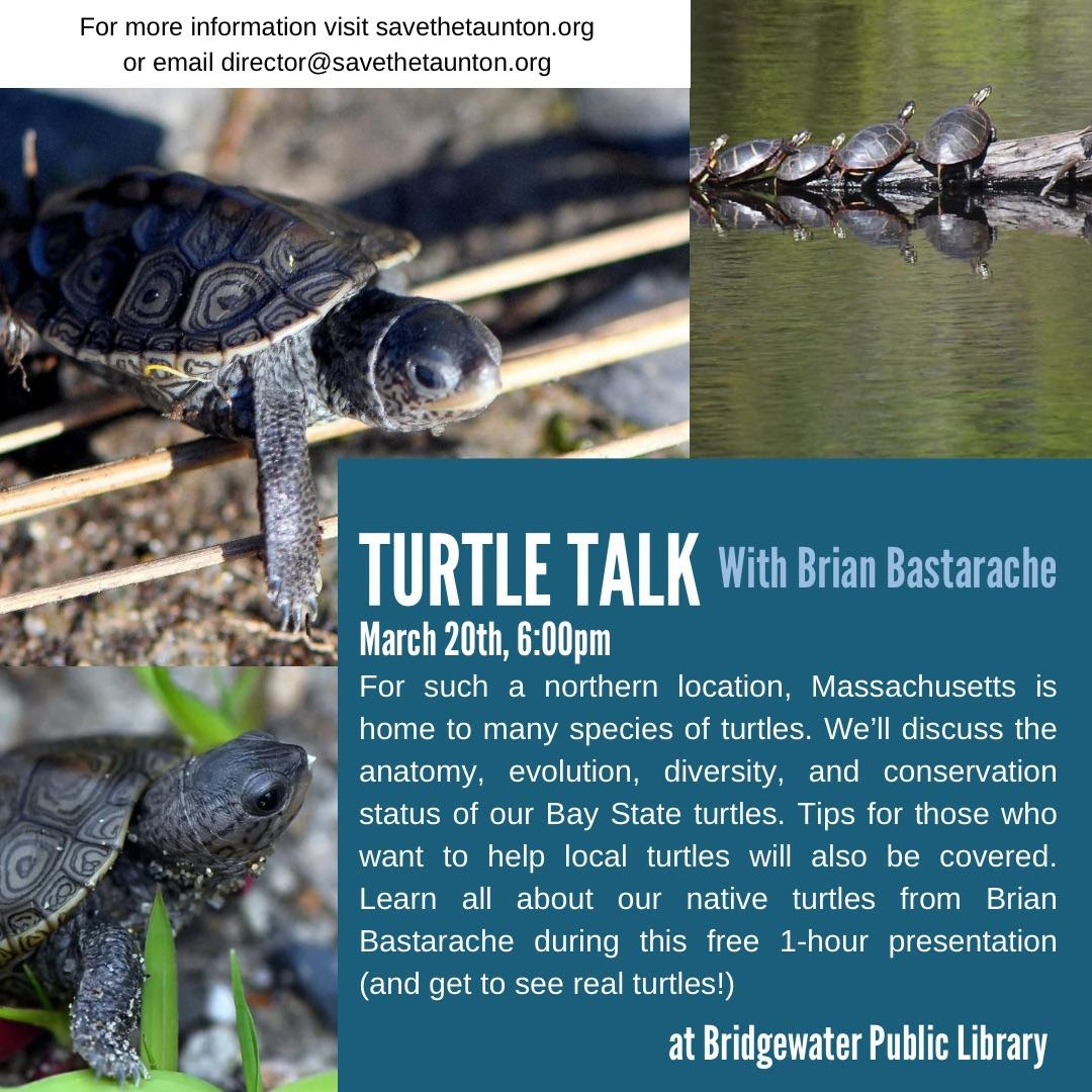 Informational poster of Turtle Talk at BPL
