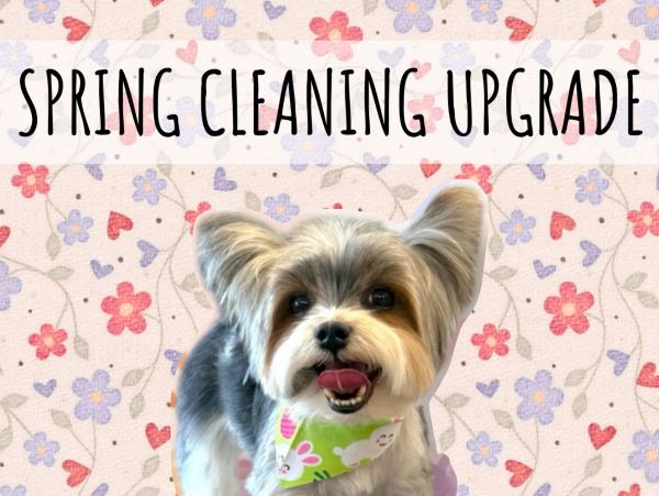The words spring cleaning upgrade in all caps black text over a pink and purple floral background with a yorkshire terrier underneath the words