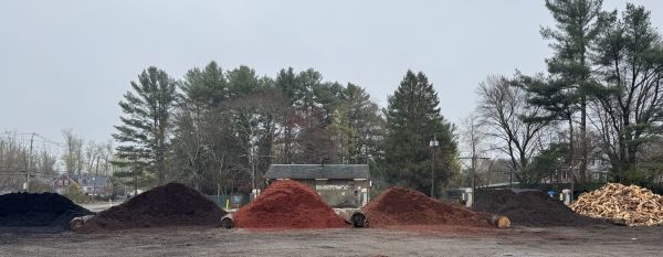 Piles of mulch and firewood