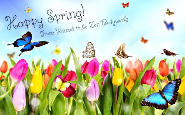 an image that says Happy Spring with pink and yellow tulips and blue butterflies