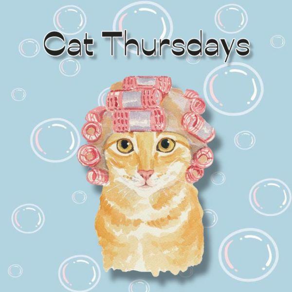 Drawing of an orange tabby cat with pink hair rollers under the words Cat Thursdays and over a light blue background with bubble