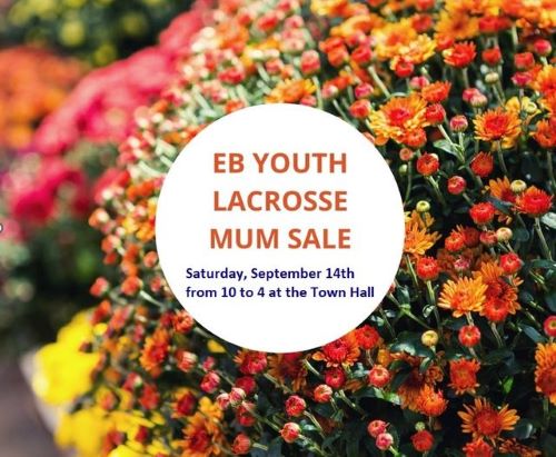 Mum Sale Fundraiser for Youth Lacrosse Budget