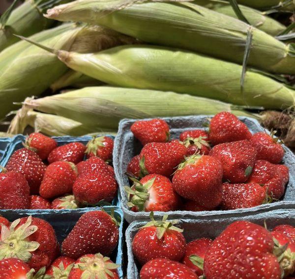 Picture of fresh corn and strawberries