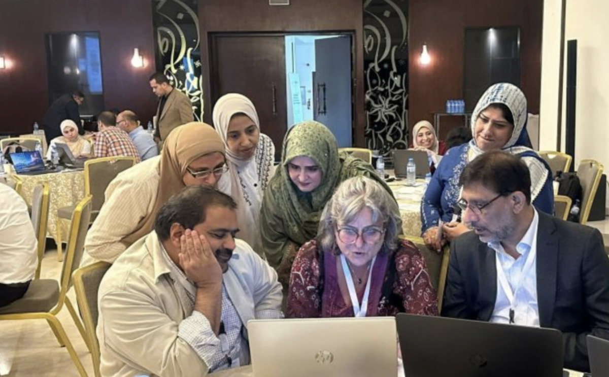 Schaefer demonstrates Power BI techniques