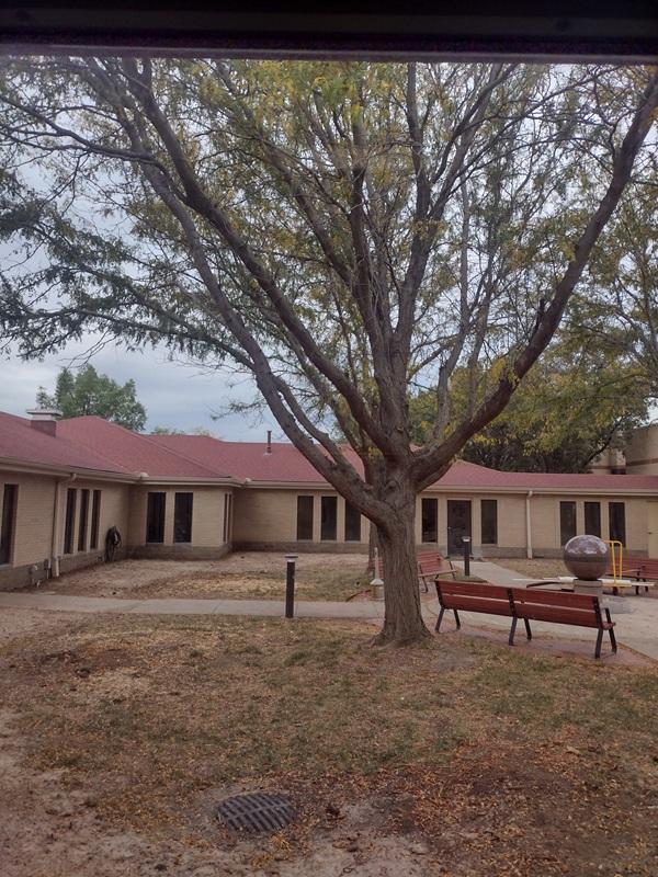 Courtyard 10-13-25