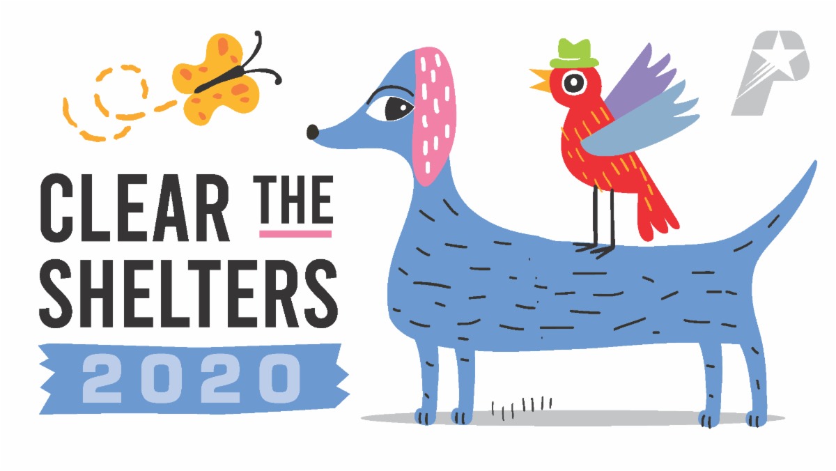 Clear the Shelters 2020