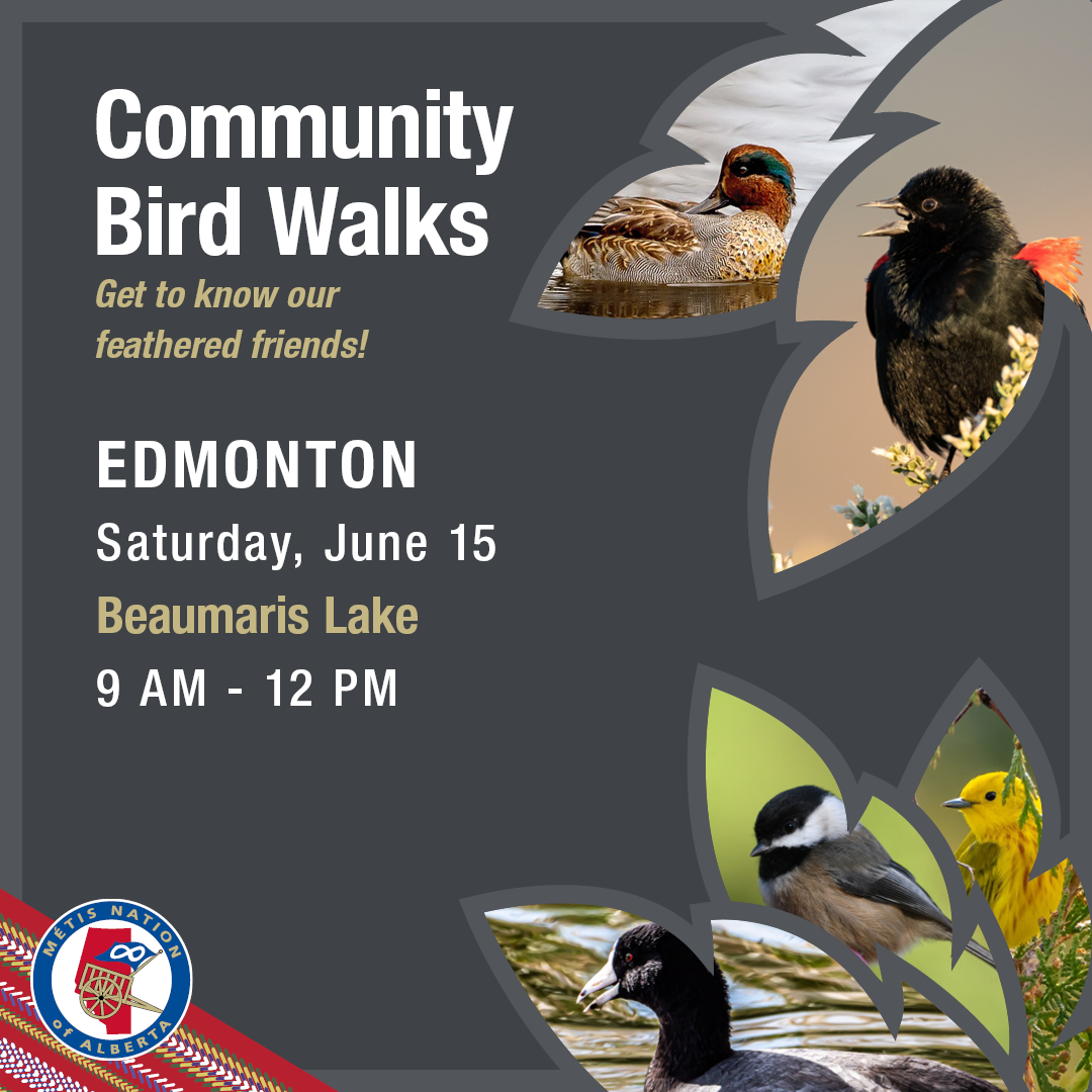 Community Bird Walks. Get to know our feathered friends! Edmonton, Saturday, June 15, Beaumaris Lake, 9 am - 12 pm