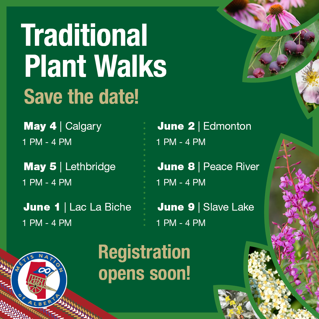 Traditional Plant Walks, Save the Date. May 4, Calgary, 1 pm - 4 pm. May 5, Lethbridge 1 pm - 4 pm. June 1, Lac La Biche, 1 pm - 4 pm. June 2, Edmonton, 1 pm - 4 pm. June 9, Slave Lake, 1 pm - 4 pm. Registration Opens Soon. 