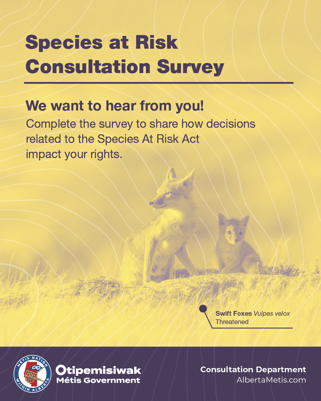 Species at Risk Consultation Survey. We want to hear from you! Complete the survey to share how decisions related to the species at Risk Act impact your rights. Click to open link