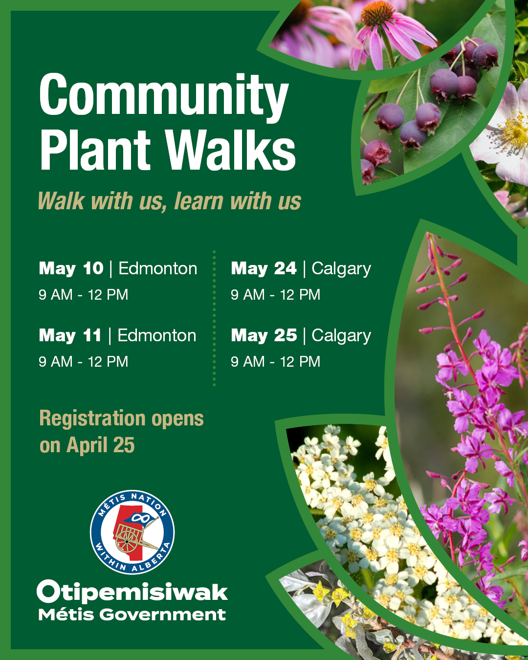 Plant Walks dates poster, click to open link
