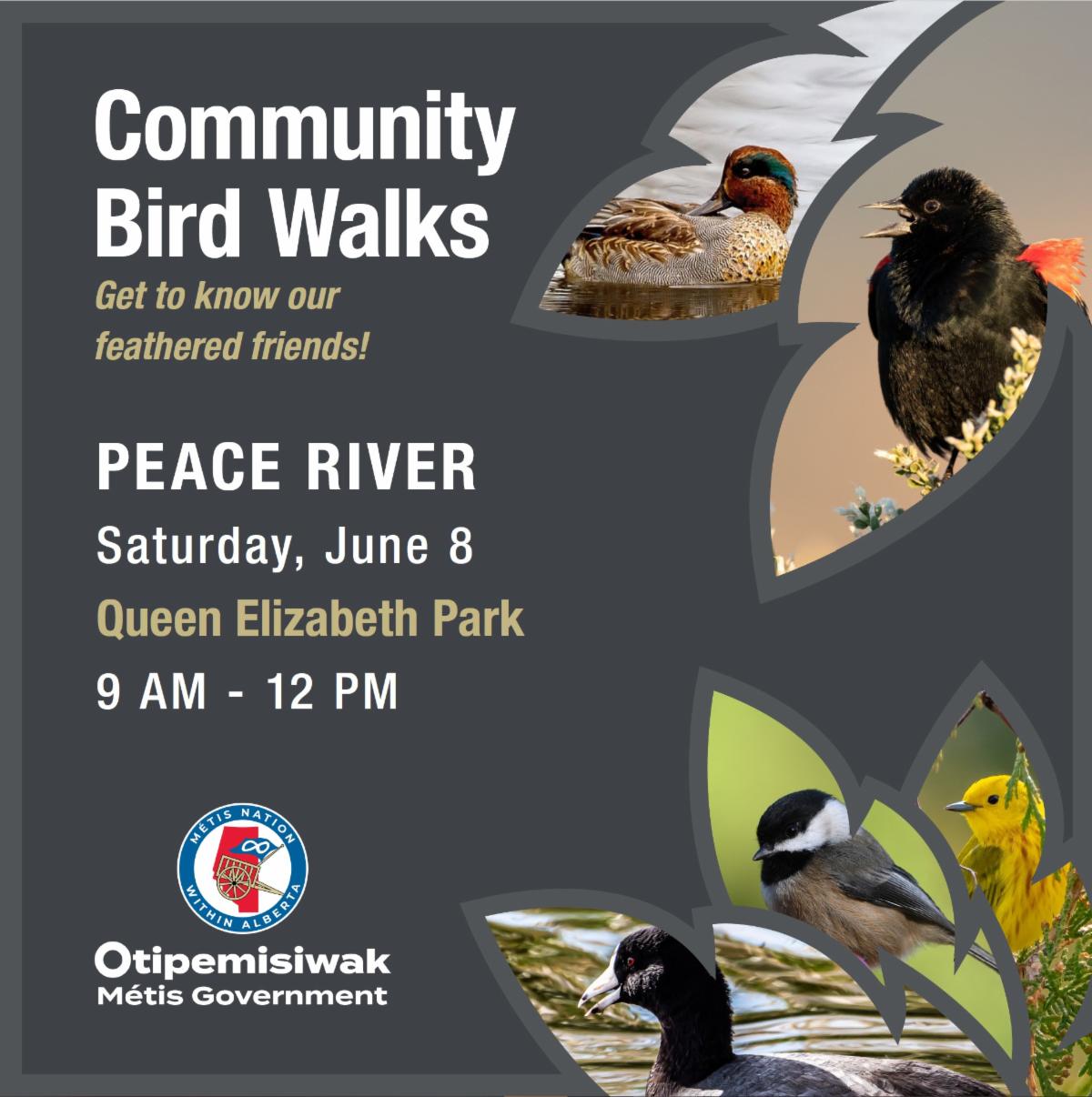 Community Bird Walks. Peace River, Saturday, June 8, Queen Elizabeth Park, 9am - 12pm. 