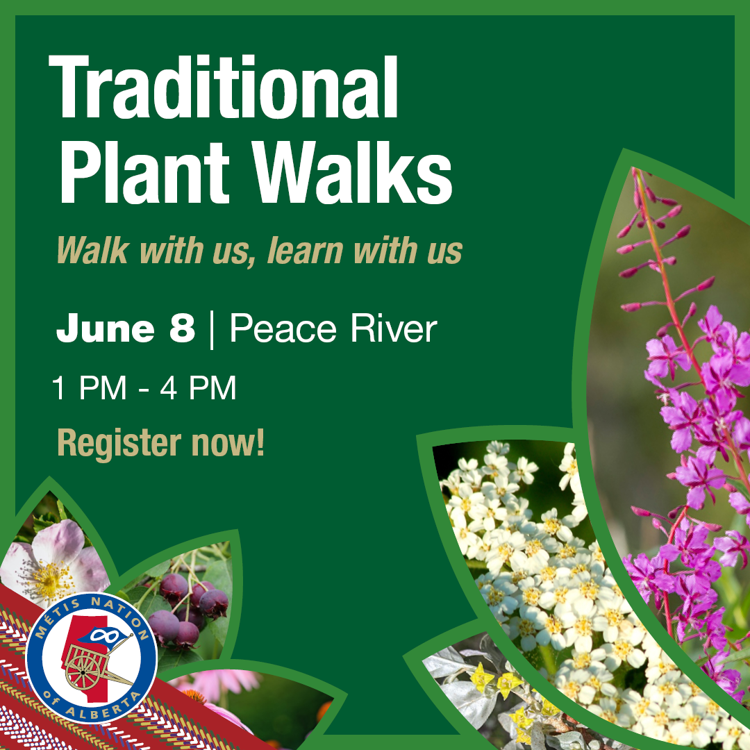 Traditional Plant Walk, Peace River, June 8, 1 - 4 pm