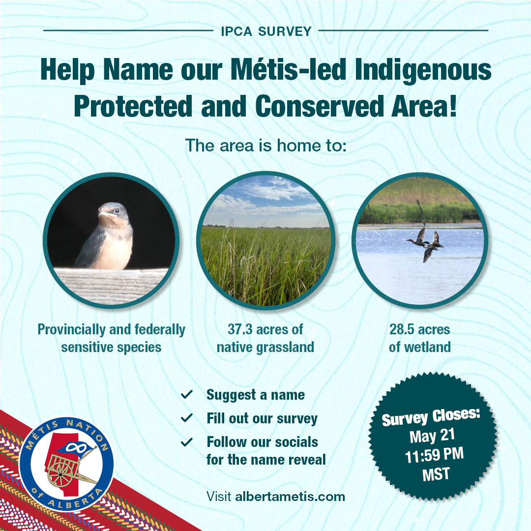 Help Name our Metis-led Indigenous Protected and Conserved Area! The area is home to provincially and federally sensitive species, 37.3 acres of native grassland, 28.5 acres of wetland. Survey closes May 21, 11:59 PM MST.